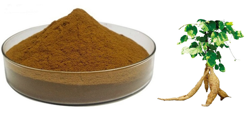 Pueraria Extract