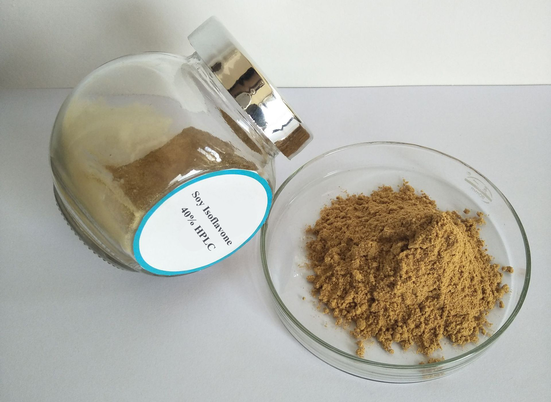 Soybean Isoflavone